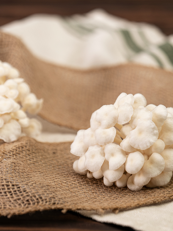 Enoki blanc: Der Fruchtige