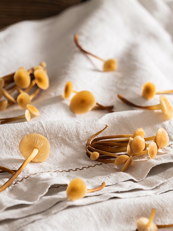 Enoki d'Or: Der Süssliche