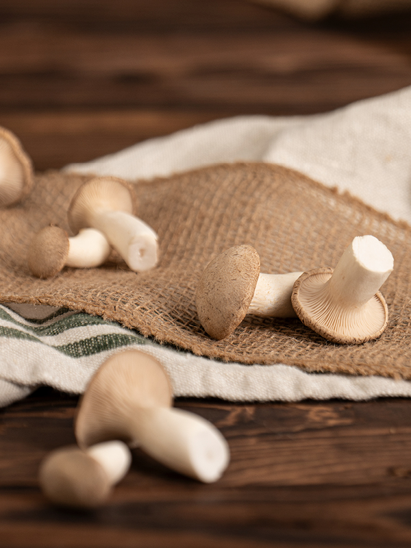 Kräuterseitling mini: Der Mediterrane