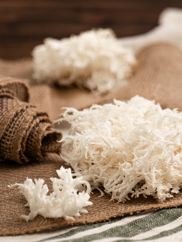 Pom Pom frise: Der Gesunde