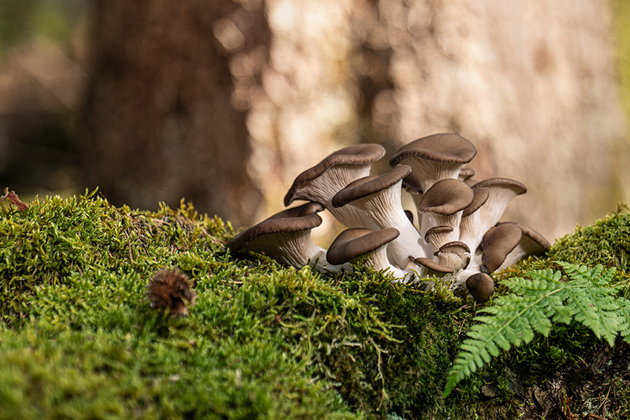Führung für Gruppen mit Workshop