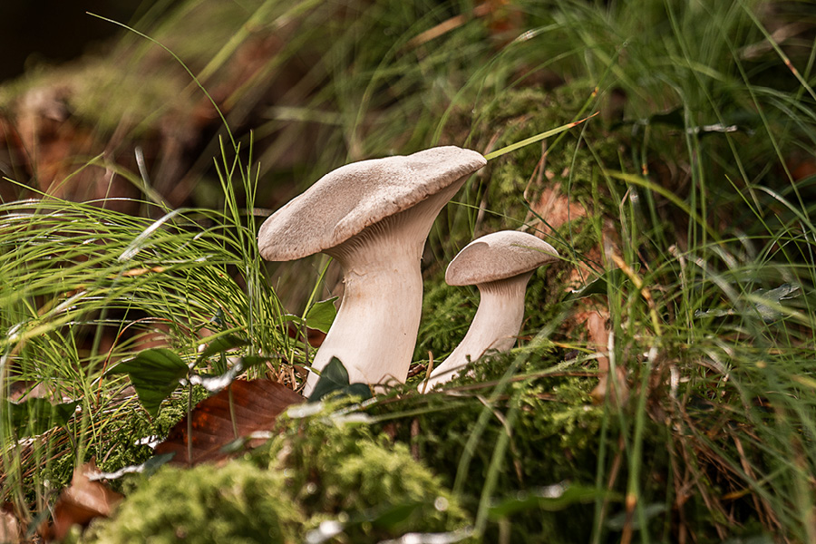 Führung für Gruppen