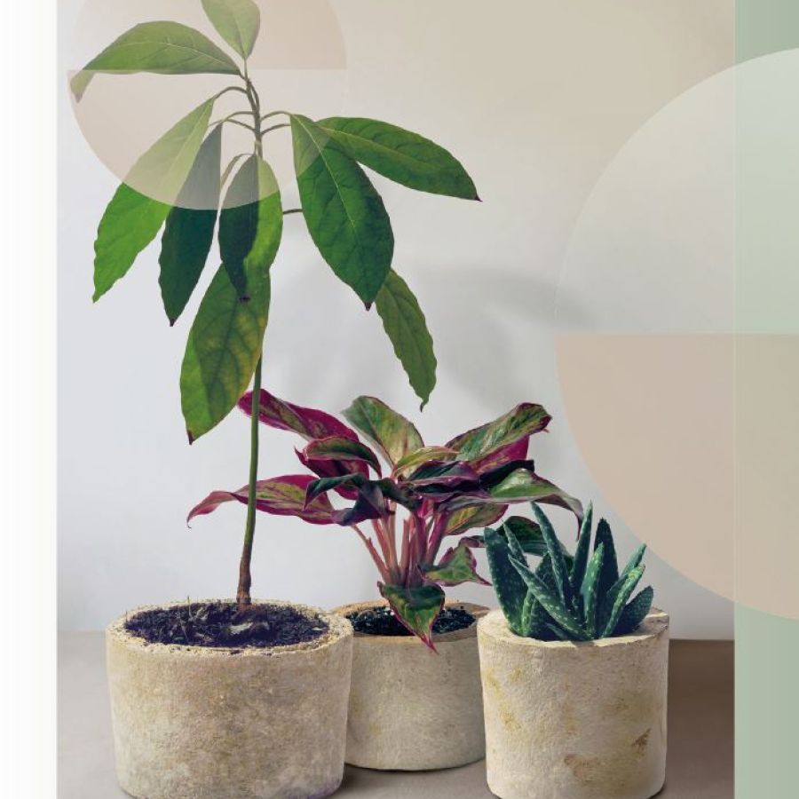 Neu in unserem Webshop: 