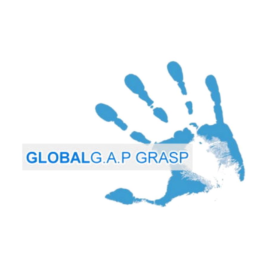 Global GAP GRASP
