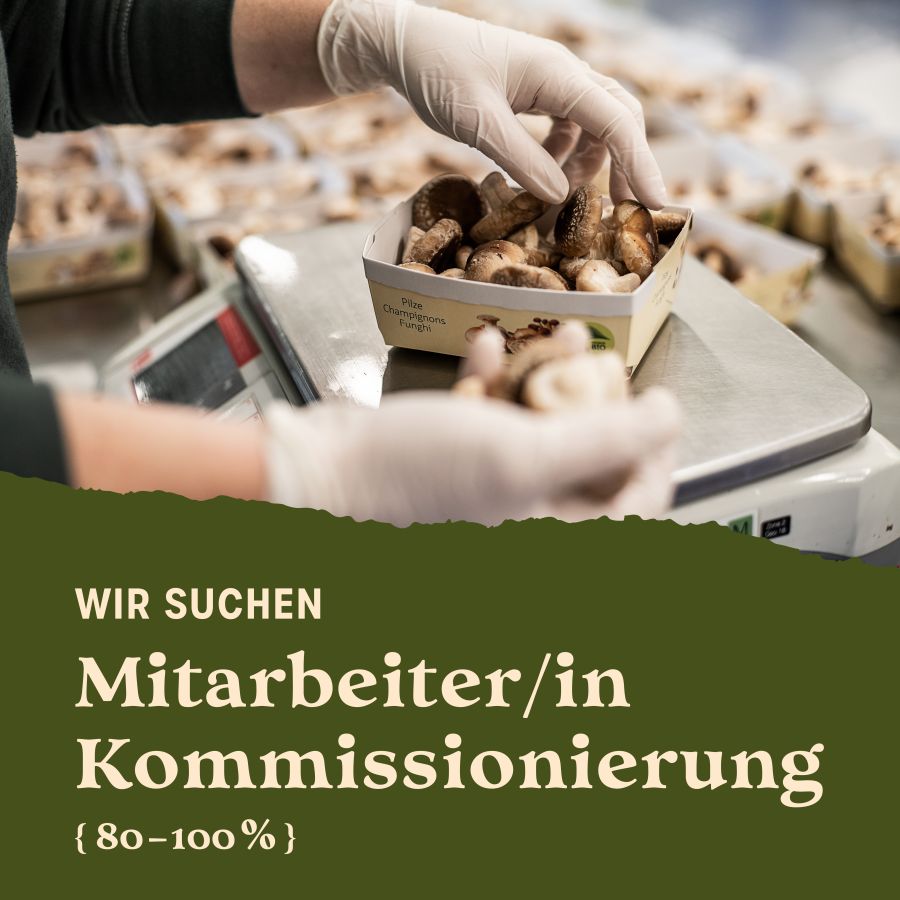 Offene Stelle: Mitarbeiter/in Kommissionierung