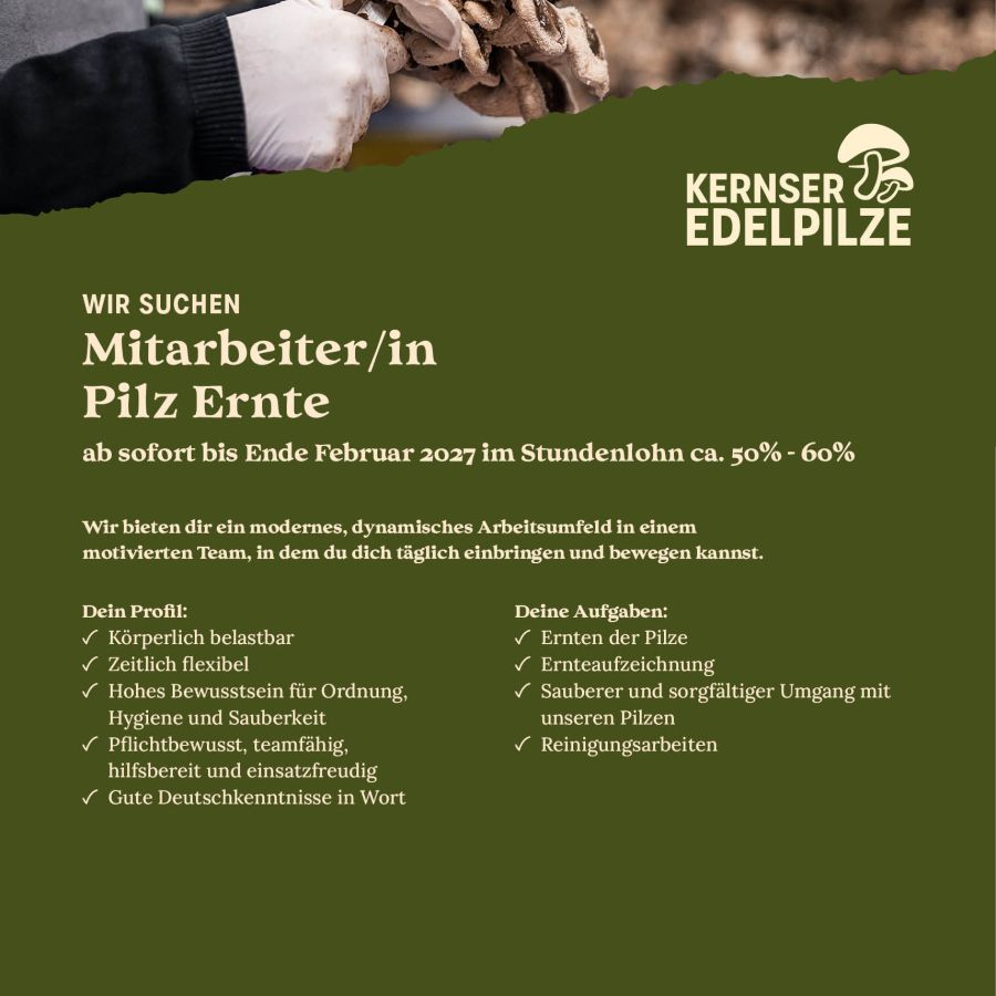 Offene Stelle: Mitarbeiter/in Pilz Ernte